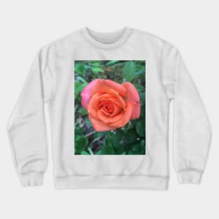 Small Colorful Rose Crewneck Sweatshirt